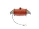 Bobine d'allumage haute tension BOSCH / Norris, vélomoteur Sachs, DKW