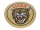 Aufkleber Tigra Ø 50 mm «Augen Grün»