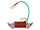 Lichtspule 6V «mit Stecker» Piaggio Ciao, SI, Bravo, Boxer