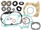 Motorrevision Set Sachs 503 AB CH (2-Gang automat)