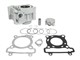 Kit cylindre Top Performances Ø 52mm, scooter Yamaha 125 X-Max 2006 à 2020, X-city dès 2008, MBK Skycruiser-Cityliner dès 2008 / Moto YZF-R125 2008 à 2018, Rieju, Beta, fantic