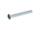 Vis à tête fraisée surélevée (fendue) M6 x 45 mm I galvanisée
