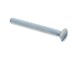 Vis à tête fraisée surélevée (fendue) M6 x 45 mm I galvanisée