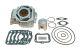 Kit Italkit Gilardoni 54mm original Rotax 122