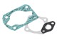 Dichtsatz Akoa 43 mm (Neu) Power Zylinder Sachs 503