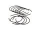 Circlip pour panier d'embrayage, compatible avec les modèles Vespa 50-125cc / PRIMAVERA/ ET3.