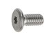 Schraube M4 x 8 mm Flachkopf «Torx»