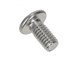 Schraube M4 x 8 mm Flachkopf «Torx»