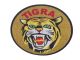 Aufkleber Tigra Ø 44 mm «Augen Grün»