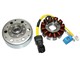 Zündung 12-polig 150W für Piaggio, Vespa, Gilera, Aprilia, Derbi, Peugeot, Benelli, Italjet und Malaguti 125ccm