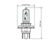 Ampoule halogène H4, blanche, 12 V, 35/35 W