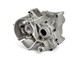 Carter TPR Factory, Minarelli AM6 100cc