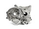 Carter TPR Factory, Minarelli AM6 100cc