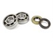 Vilebrequin Minarelli AM6, TPR Factory 100 course 47mm bielle 98mm