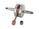 Vilebrequin Athena Racing, Minarelli AM6