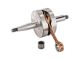 Vilebrequin Athena Racing, Minarelli AM6