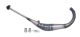 Auspuff Giannelli Rieju RS2 Matrix 50 2-t