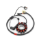 Stator Piaggio New Fly, Liberty, Vespa LX/S 125 (moteur 3V i.e.)