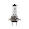 Halogen-Birne H7, weiss 12V 55W