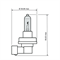 Halogen-Birne H11, weiss 12V 55/55W