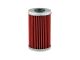 Oelfilter Champion COF069 (wie HF169)