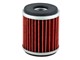 Ölfilter Champion COF041 / HF141 / HF981