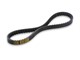Keilriemen Malossi X-Special Belt Honda NPS 50 Zoomer 01->