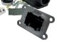 Membrane Polini BIG VALVE (ohne Vergaser)