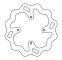 Bremsscheibe Galfer Wave Disc W 190/80/3mm
