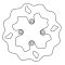 Bremsscheibe Galfer Wave Disc W 160/45/3mm