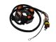 Bobines/Stator d'allumage, moteur Beta/ Minarelli AM6