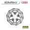 Disque de freins NG 226/57/4mm 5 trou