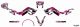 Kit déco graphique STAGE6 rose-noir, moto 50cc Derbi X-Treme / X-Race dès 2017 Euro4