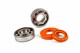 Kurbelwellenlager Stage6 HighQuality, inkl. HighQuality Simmerringen, Minarelli, Metall Käfig (SKF 6204/C4)