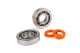 Stage6 kit roulements cages Teflon & joints spy HQ (C3/C4), Piaggio/Gilera