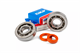 Roulements et simmers Stage6 cages polyamide, scooter Peugeot 50cc