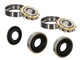 Kurbelwellenlager BO15 Set mit Simmerringen Sachs 503 2AL / 2BL