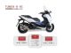 Pot d'échappement Yasuni EVO4 Look Titanium, Honda Forza 125cc ABS 4T
