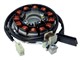 Stator d'allumage Beta 50 RR MY13 - MY16