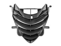 Grille de radiateur Peugeot Speedfight 2 LC Grille de radiateur Peugeot Speedfight 2 LC