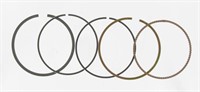 Segments Malossi pour 150700