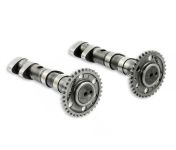 Arbre à came Malossi MHR Yamaha XP 530 T-Max 12-17 / XP 560 T-Max 20 -> Arbre à came Malossi MHR Yamaha XP 530 T-Max 12-17 / XP 560 T-Max 20 ->
