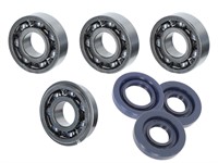 Set de révision pour vilebrequin, Puch E50 (ancien modèle spi 22mm)