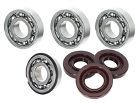 Revisionsset Puch E50 Motor High-End «altes Modell» SKF Lager / Viton Simmeringe