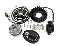Allumage complet HPI (12V) avec lumière (60W), moteur vélomoteurs Sachs 50/2 Allumage complet HPI (12V) avec lumière (60W), moteur vélomoteurs Sachs 50/2