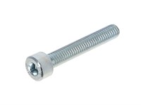 Inbusschraube, M5 x 30mm Inbusschraube, M5 x 30mm