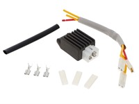 Régulateur de tension -4-fiches BGM PRO 6V CA/CC- universel Régulateur de tension -4-fiches BGM PRO 6V CA/CC- universel
