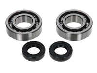 Set révision vilebrequin roulements+ spi, vélomoteurs Honda Camino / Hobbit PA50 Set révision vilebrequin roulements+ spi, vélomoteurs Honda Camino / Hobbit PA50
