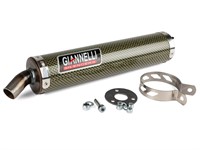 Schalldämpfer Giannelli Honda NSR 125cc 2T street Carbon kevlar