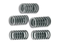 Ressorts MALOSSI MHR, embrayage DERBI Senda (5pcs) Ressorts MALOSSI MHR, embrayage DERBI Senda (5pcs)